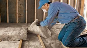 Best Commercial Insulation Services  in Hayti, MO