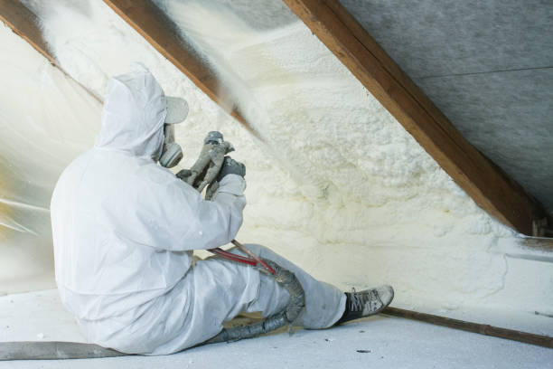 Best Fireproof Insulation  in Hayti, MO