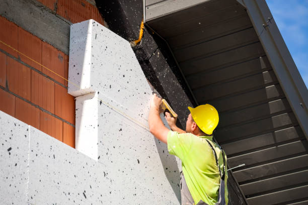 Best Basement Insulation  in Hayti, MO